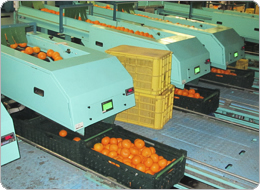 自動計量された後にコンテナーに箱詰め