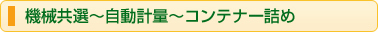 機械共選～自動計量～コンテナー詰め