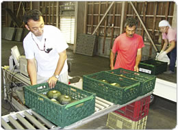 コンテナーなら品質検査もしやすい