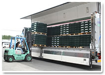 冷蔵トラックで市場へ