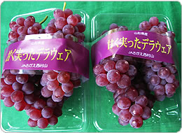 ぶどうは良質なエネルギー源