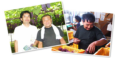 JAさがえ西村山のぶどう生産者