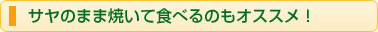 サヤのまま焼いて食べるのもオススメ!