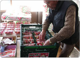 簡単ラクラク、イフコ・コンテナへのパック詰め作業