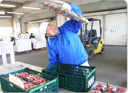 生産者ごとに厳しい検査