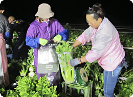 生産者とＪＡの協力で品質向上に取り組む