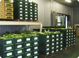 全国流通の90％を占める生産地