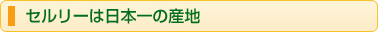 セルリーは日本一の産地