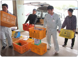 出荷場にアスパラ農家から持ち込まれる