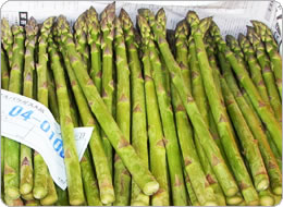 鮮やかな緑の新鮮なアスパラガス