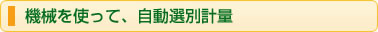 機械を使って、自動選別計量
