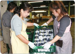 JA評価員による厳格なチェック