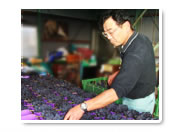 お話しを伺ったぶどう生産者