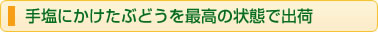 手塩にかけたぶどうを最高の状態で出荷