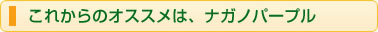 これからのオススメは、ナガノパープル