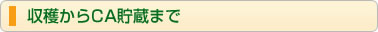 収穫からCA貯蔵まで