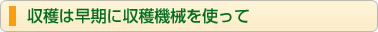 収穫は早期に収穫機械を使って