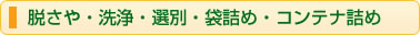 脱さや・洗浄・選別・袋詰め・コンテナ詰め