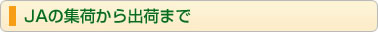 ＪＡの集荷から出荷まで