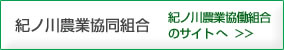 紀ノ川農業協働組合のサイトへ
