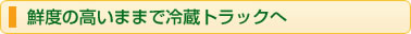 鮮度の高いままで冷蔵トラックへ